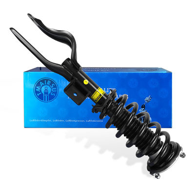 Substitua o absorvedor de choque de mola de bobina 1188371-00-D 1188368-00-E para Tesla Model Y AWD Frente esquerdo ou direito