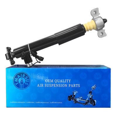 Amostra aceitável de absorvedor de choque traseiro de automóvel Ocm HG9Z18125C para desempenho