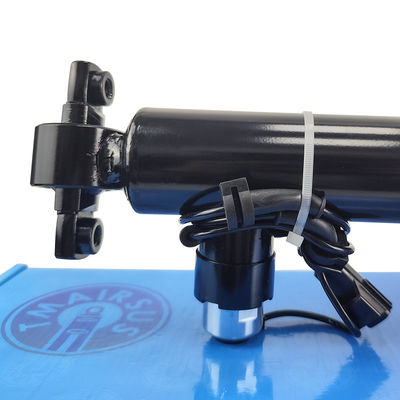 Amostra aceitável de absorvedor de choque traseiro de automóvel Ocm HG9Z18125C para desempenho