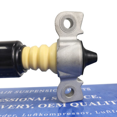 Amostra aceitável de absorvedor de choque traseiro de automóvel Ocm HG9Z18125C para desempenho