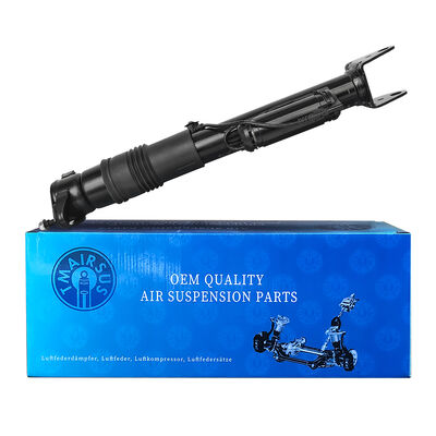 Sistema de gestão da suspensão pneumática com absorvedores de choque pneumáticos Ben-Z W251/R300