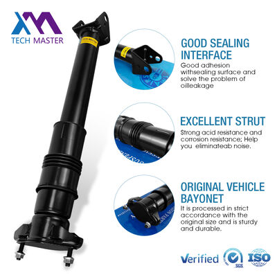 Absorvedor de choque atmosférico para Mercedes-Benz W251/R300 Suspensão antiaérea traseira 2513202231 2513200730