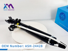 Tech Master LINCOIN MKS MKT traseiro com absorvedor de choque elétrico ASH-24428