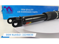 Técnico Mestre de absorvedor de choque traseiro