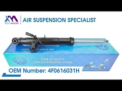 Mestre de Tecnologia TMAIRSUS Absorvedor de choque traseiro para Audi A6L/C6 4F0616031H