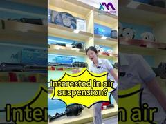 Tech Master = Sua Fonte Profissional de Fábrica de Amortecedores de Suspensão a Ar