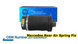 Mola pneumática traseira Mercedes-Benz W251/R350 R500